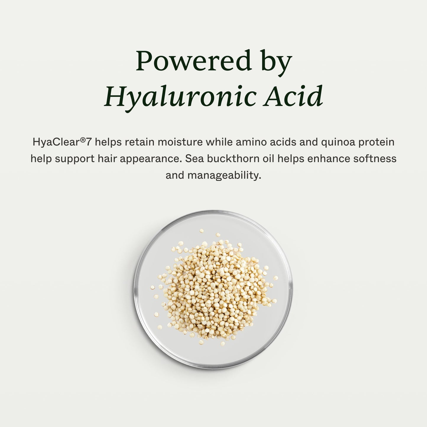 Hair Hydration Mask